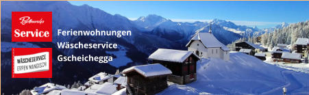 Ferienwohnungen Wäscheservice Gscheichegga